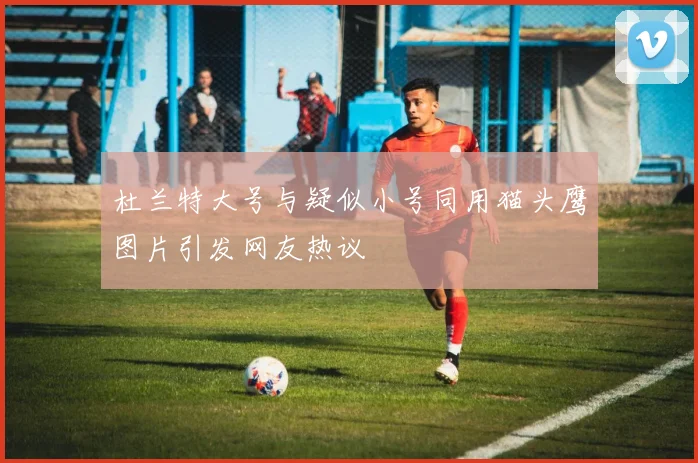 杜兰特大号与疑似小号同用猫头鹰图片引发网友热议