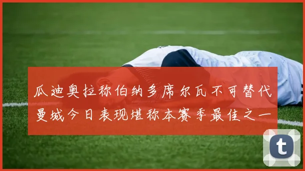 瓜迪奥拉称伯纳多席尔瓦不可替代曼城今日表现堪称本赛季最佳之一