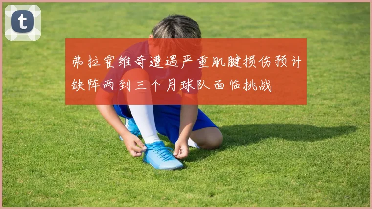 弗拉霍维奇遭遇严重肌腱损伤预计缺阵两到三个月球队面临挑战