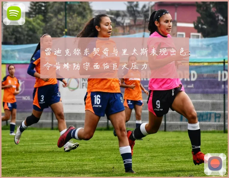 雷迪克称东契奇与里夫斯表现出色令黄蜂防守面临巨大压力